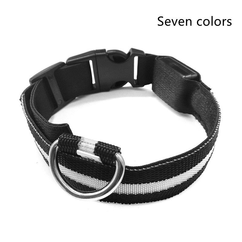 Black and white striped dog collar with a D-ring
