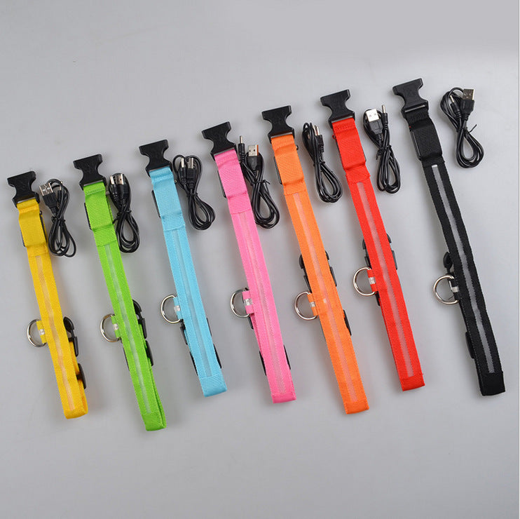 Nylon LED Pet Dog Collar – Glow in Dark Night Safety Flashing Light Up Leash | USB Rechargeable & Adjustable