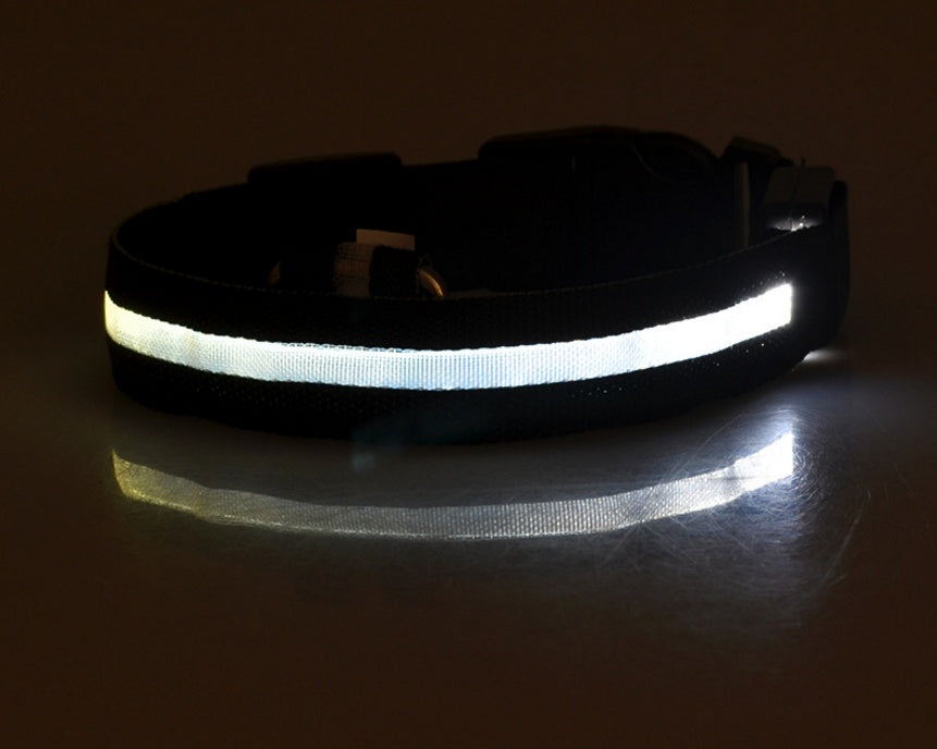 Nylon LED Pet Dog Collar – Glow in Dark Night Safety Flashing Light Up Leash | USB Rechargeable & Adjustable