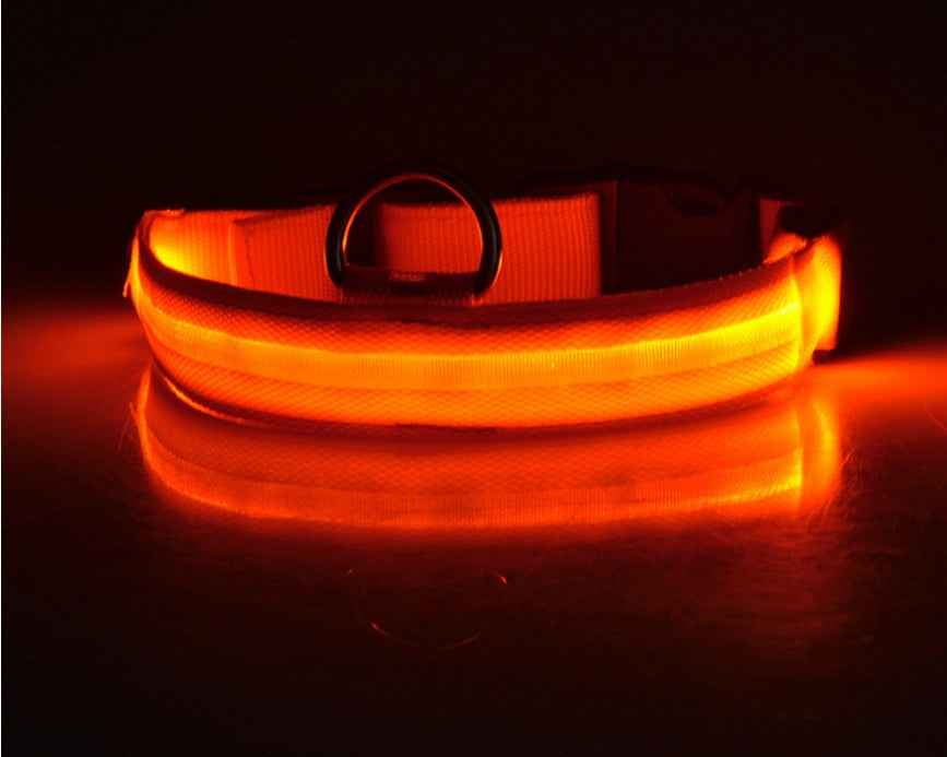 Nylon LED Pet Dog Collar – Glow in Dark Night Safety Flashing Light Up Leash | USB Rechargeable & Adjustable