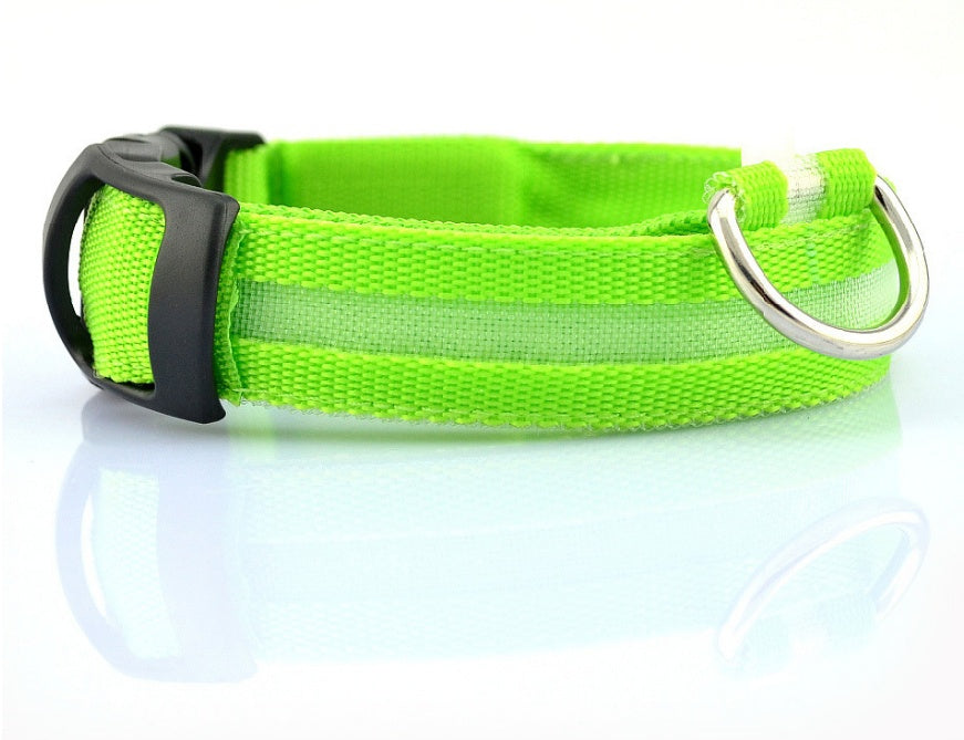 Nylon LED Pet Dog Collar – Glow in Dark Night Safety Flashing Light Up Leash | USB Rechargeable & Adjustable