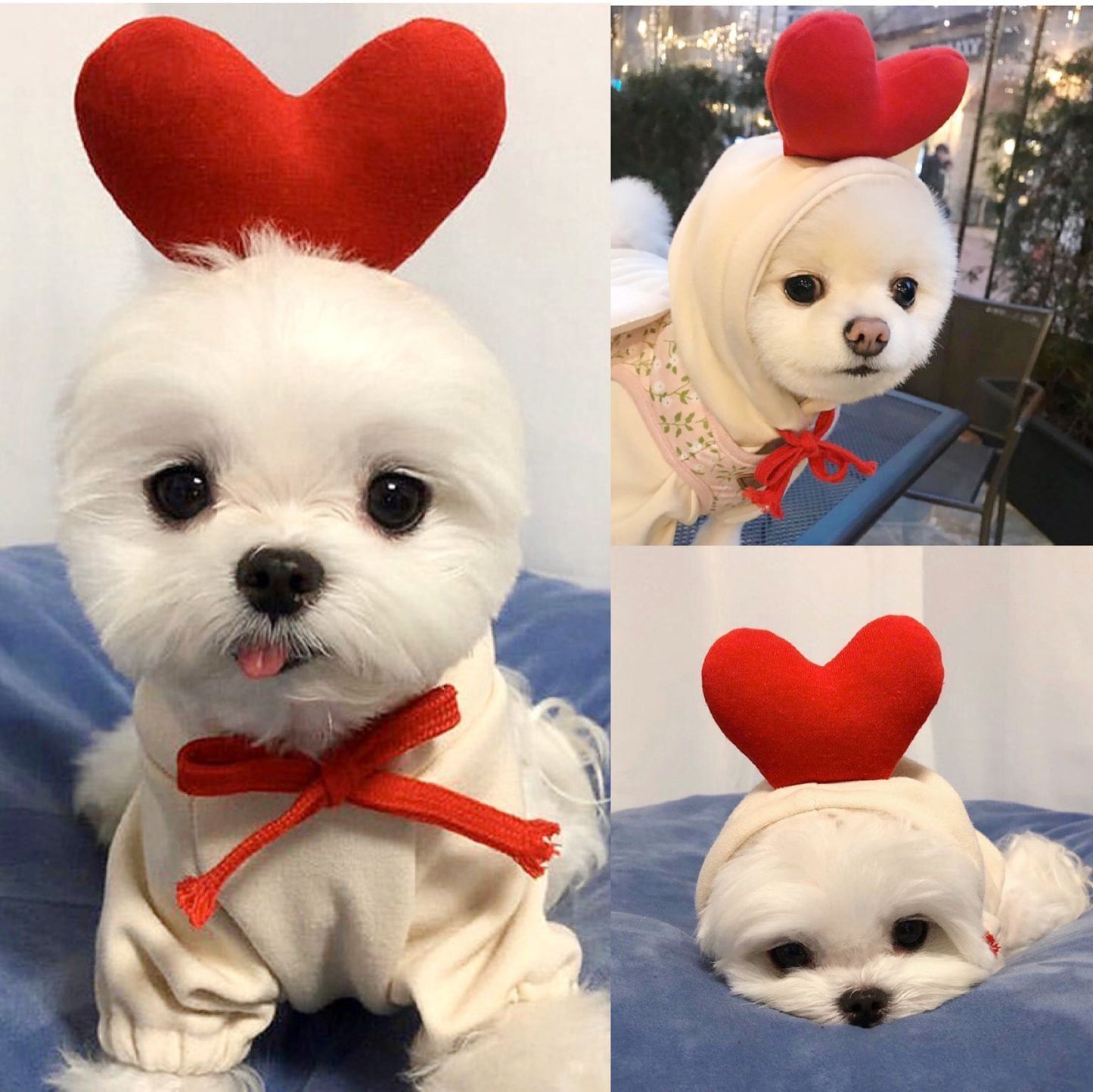 Cute Fruit Dog Clothes for Small Dogs – Winter Warm Fleece Puppy Hoodie Outfit for Chihuahua, French Bulldog & Cats