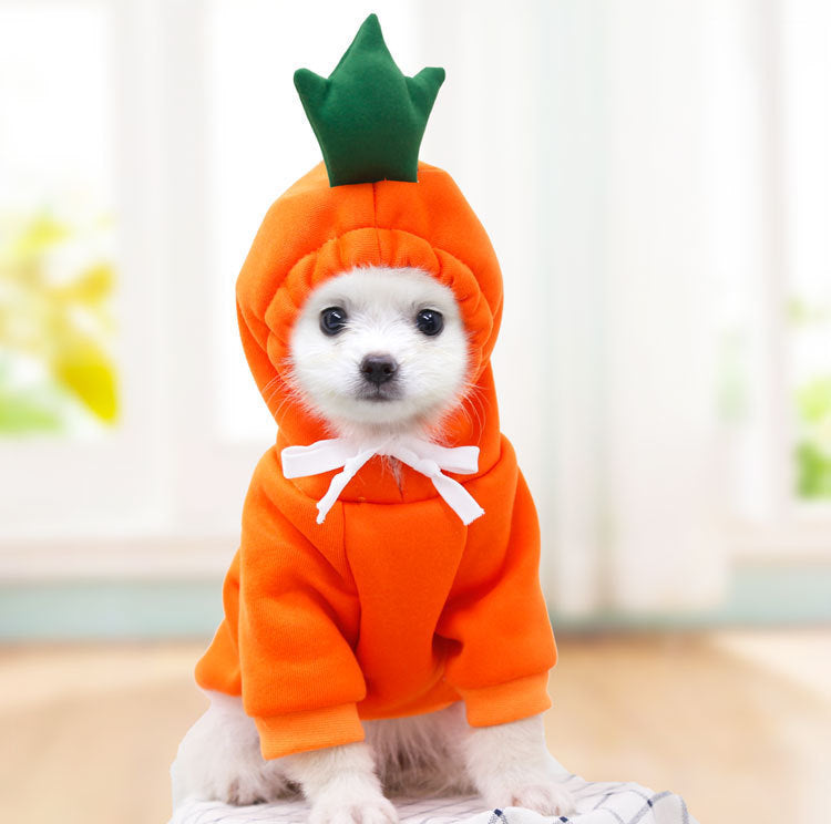 Cute Fruit Dog Clothes for Small Dogs – Winter Warm Fleece Puppy Hoodie Outfit for Chihuahua, French Bulldog & Cats