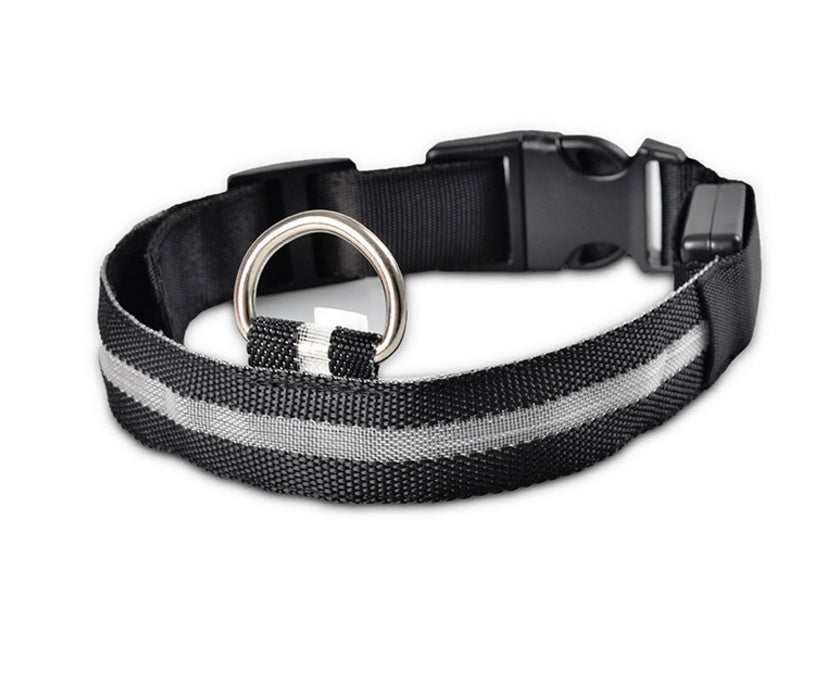 Nylon LED Pet Dog Collar – Glow in Dark Night Safety Flashing Light Up Leash | USB Rechargeable & Adjustable