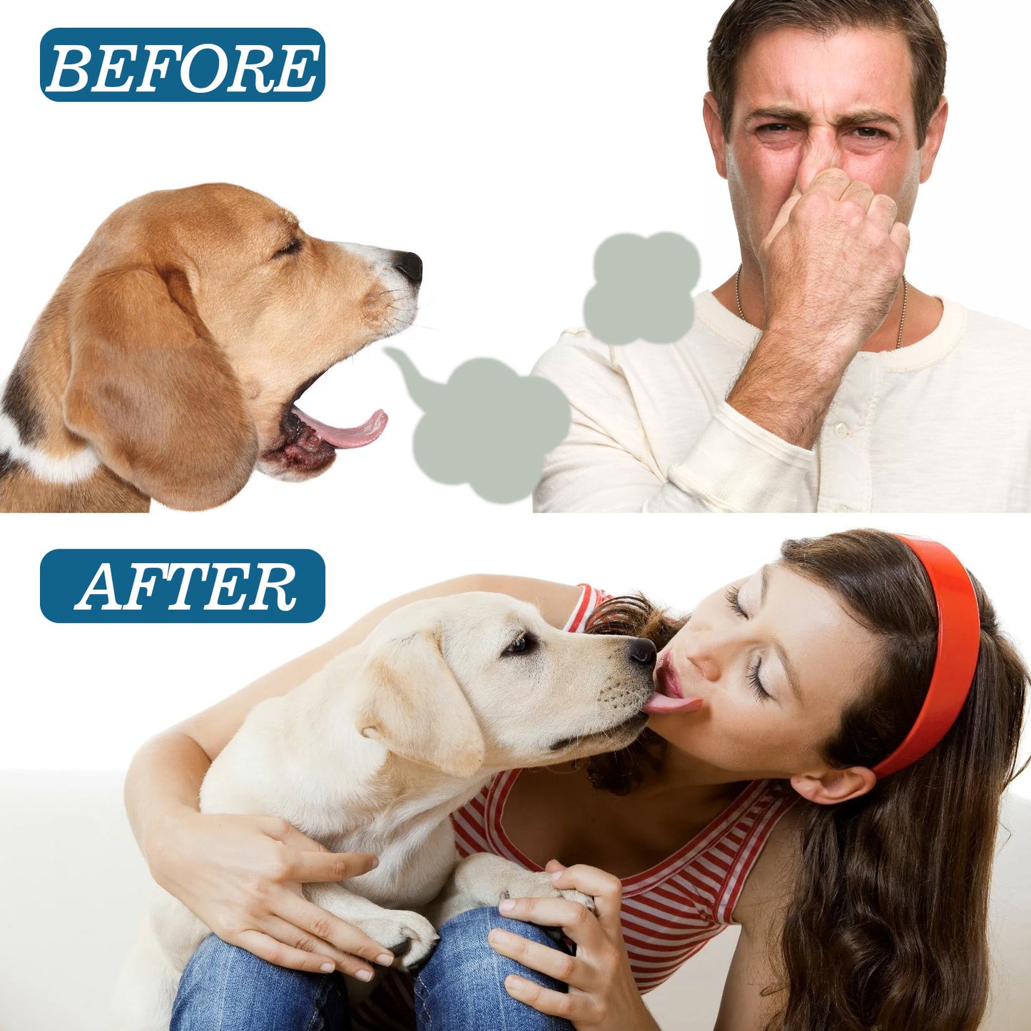 Before and after comparison of a dog and a person with a woman and a dog interacting.