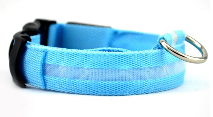 Blue dog collar with a metal ring