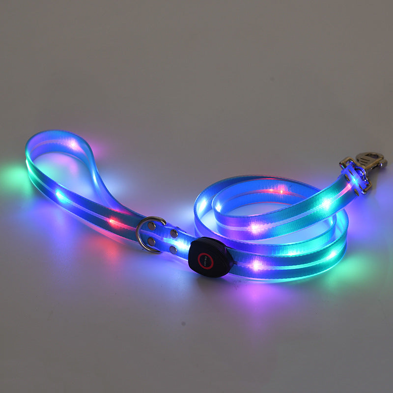 LED dog leash glowing with multicolor lights