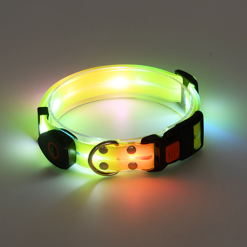Glowing LED dog collar