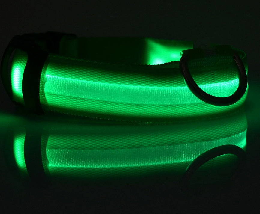 Nylon LED Pet Dog Collar – Glow in Dark Night Safety Flashing Light Up Leash | USB Rechargeable & Adjustable