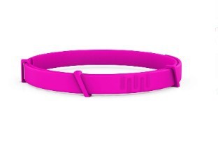 Pink dog collar on a white background