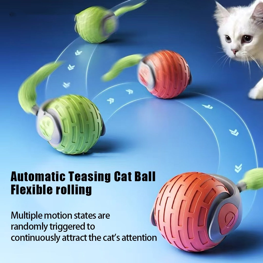 Cat toy with colorful balls and a cat