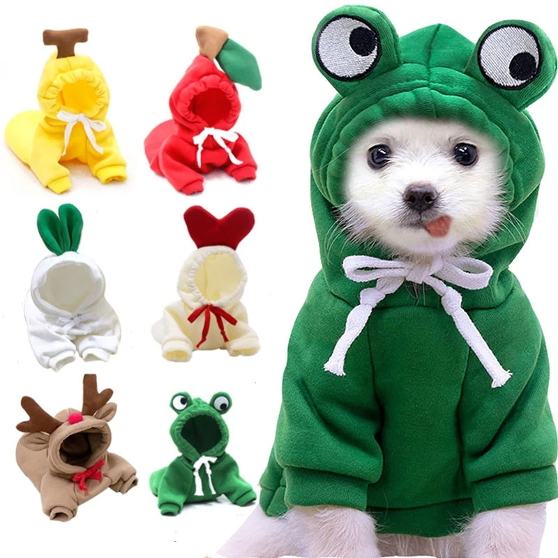 Dog wearing a green frog costume with various other animal costumes displayed.