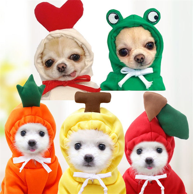 dogs wearing colorful animal-themed costumes