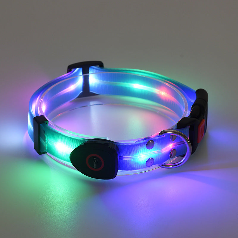 LED dog collar glowing with multicolor lights
