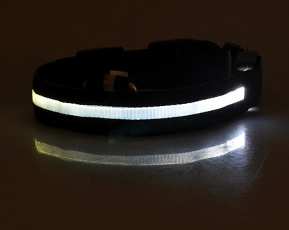 Nylon LED Pet Dog Collar – Glow in Dark Night Safety Flashing Light Up Leash | USB Rechargeable & Adjustable