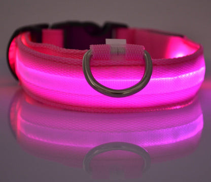 Nylon LED Pet Dog Collar – Glow in Dark Night Safety Flashing Light Up Leash | USB Rechargeable & Adjustable