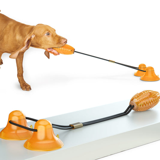 Dog playing with a toy that has suction cups and a textured ball on a white background