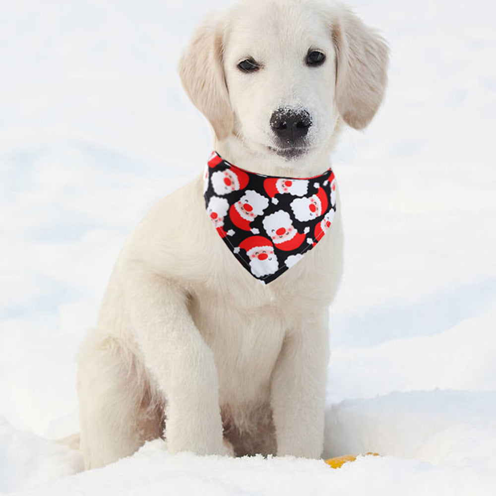 Dog wearing a festive bandana in the snow