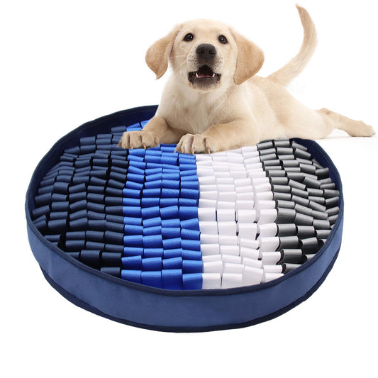Dog lying on a colorful pet bed with a white background