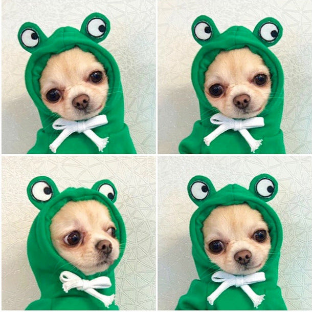 Dog wearing a green frog costume with large eyes and a white bow tie
