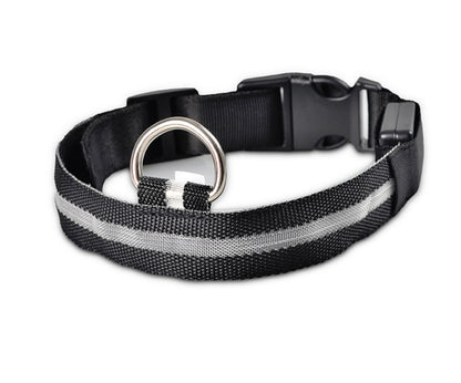 Nylon LED Pet Dog Collar – Glow in Dark Night Safety Flashing Light Up Leash | USB Rechargeable & Adjustable