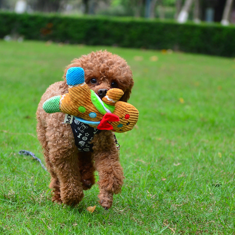Small brown dog running on grass with a colorful toy in its mouth