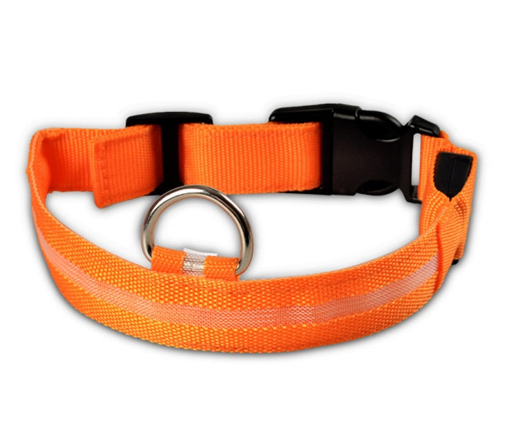 Nylon LED Pet Dog Collar – Glow in Dark Night Safety Flashing Light Up Leash | USB Rechargeable & Adjustable