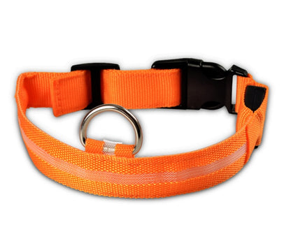 Nylon LED Pet Dog Collar – Glow in Dark Night Safety Flashing Light Up Leash | USB Rechargeable & Adjustable