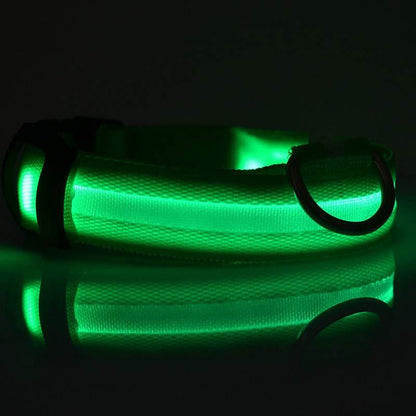 Nylon LED Pet Dog Collar – Glow in Dark Night Safety Flashing Light Up Leash | USB Rechargeable & Adjustable