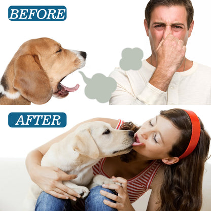 Before and after comparison of a dog and a person with a woman and a dog interacting.