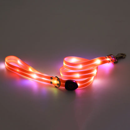 LED dog leash glowing