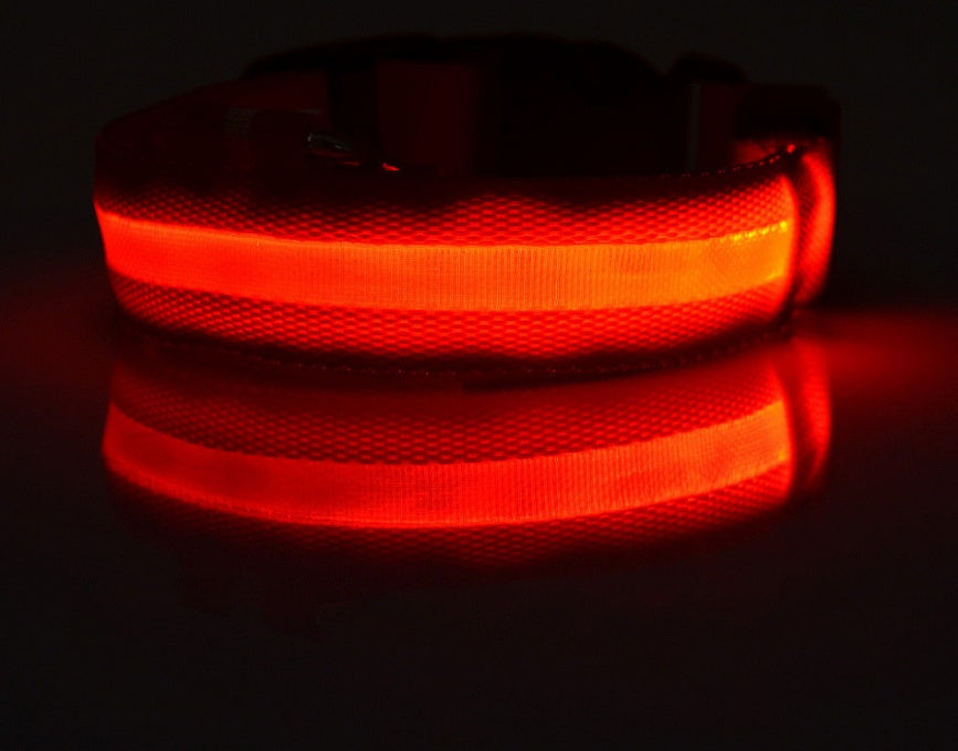 Nylon LED Pet Dog Collar – Glow in Dark Night Safety Flashing Light Up Leash | USB Rechargeable & Adjustable