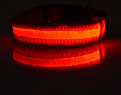 Nylon LED Pet Dog Collar – Glow in Dark Night Safety Flashing Light Up Leash | USB Rechargeable & Adjustable