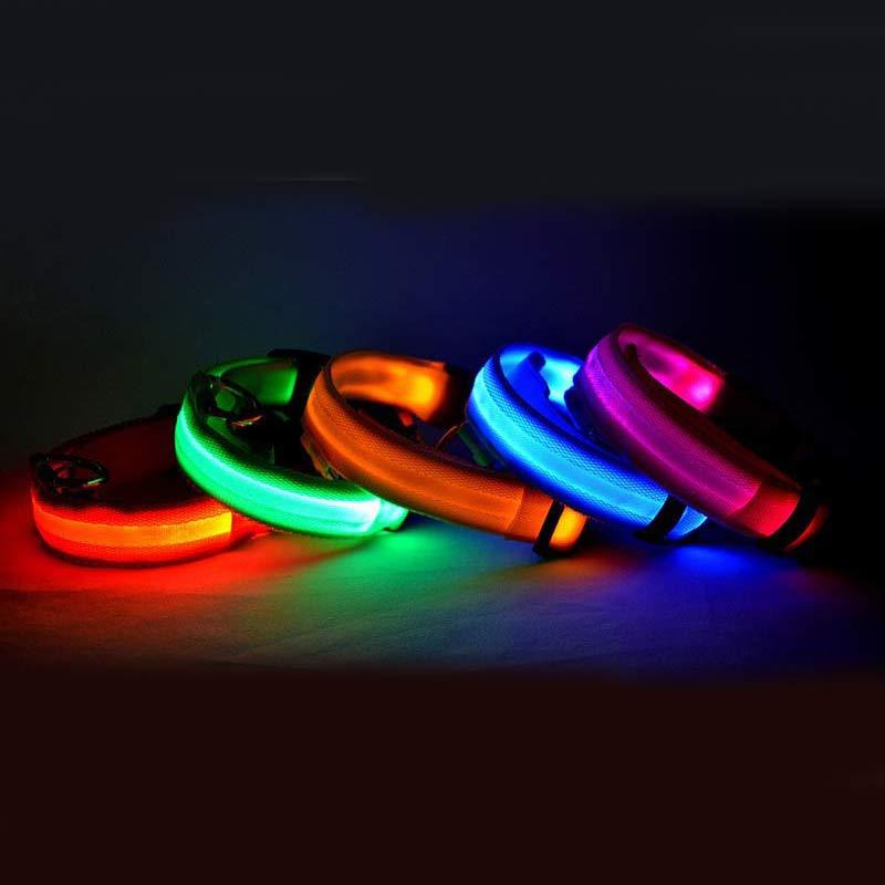 Nylon LED Pet Dog Collar – Glow in Dark Night Safety Flashing Light Up Leash | USB Rechargeable & Adjustable