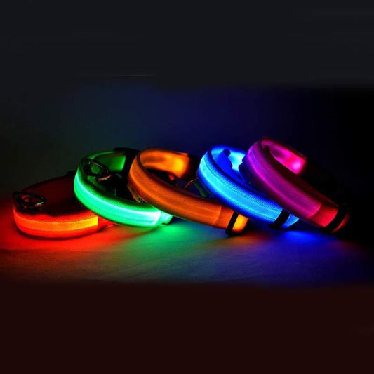 Nylon LED Pet Dog Collar – Glow in Dark Night Safety Flashing Light Up Leash | USB Rechargeable & Adjustable