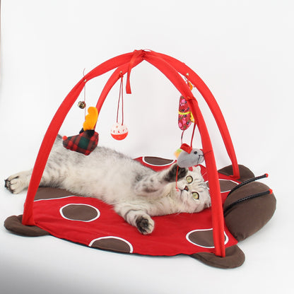 Cat playing with a red and brown ladybug-shaped pet gym on a white background