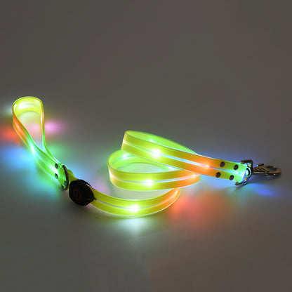 Glowing LED dog leash