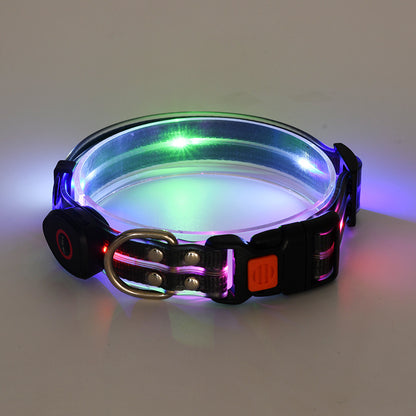 LED dog collar glowing with multicolor lights
