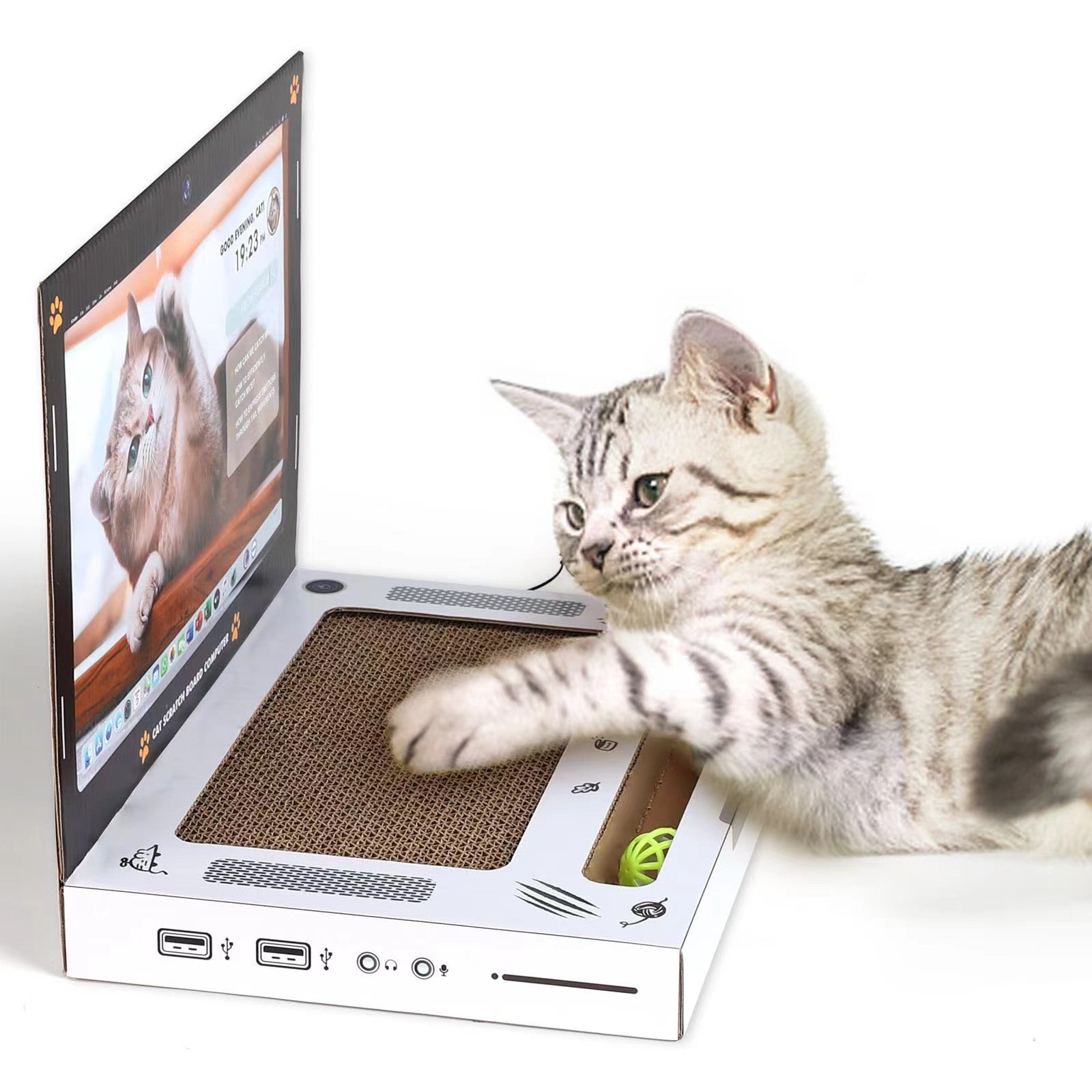 Kitten interacting with a laptop-shaped cat scratcher on a white background