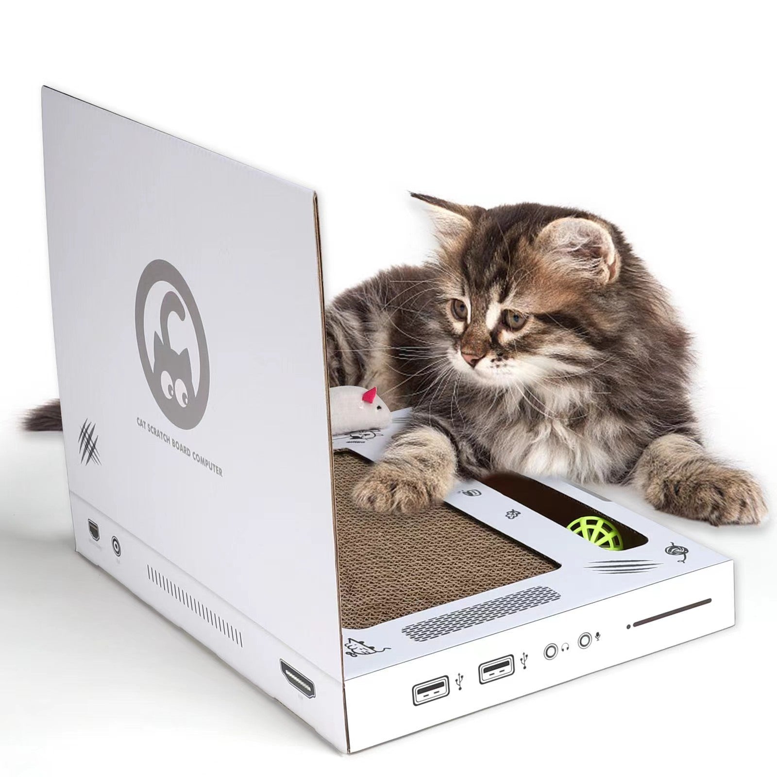 Kitten playing with a laptop-shaped cat scratcher on a white background