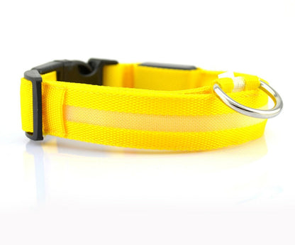 Nylon LED Pet Dog Collar – Glow in Dark Night Safety Flashing Light Up Leash | USB Rechargeable & Adjustable