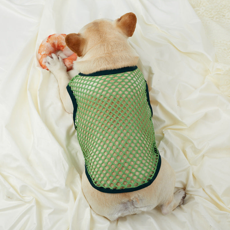 Dog wearing a green mesh sweater on a white blanket