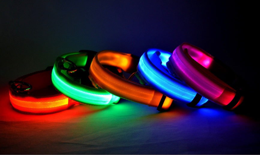 Nylon LED Pet Dog Collar – Glow in Dark Night Safety Flashing Light Up Leash | USB Rechargeable & Adjustable