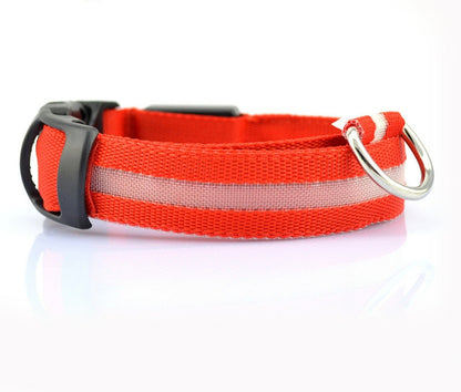 Nylon LED Pet Dog Collar – Glow in Dark Night Safety Flashing Light Up Leash | USB Rechargeable & Adjustable