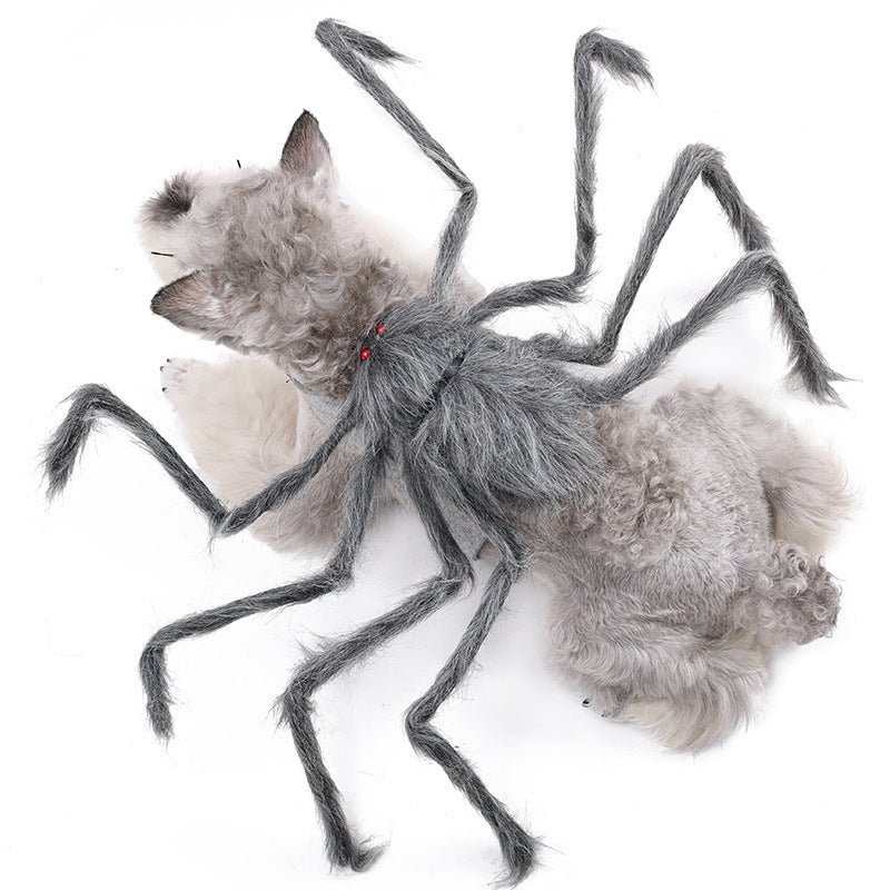 Halloween Cat/Dog Clothes | Halloween Spider Pet Costume for Cats & Dogs | Best Store 324 GB