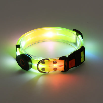 Glowing LED dog collar