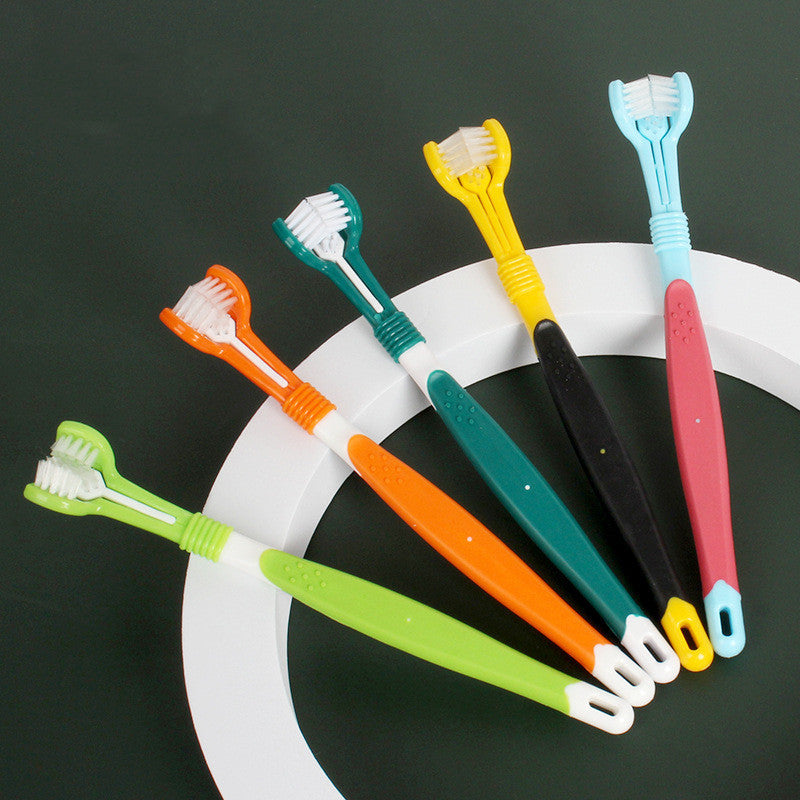 Set of colorful toothbrushes on a white plate against a dark background