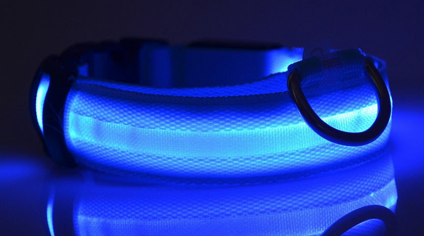 Nylon LED Pet Dog Collar – Glow in Dark Night Safety Flashing Light Up Leash | USB Rechargeable & Adjustable