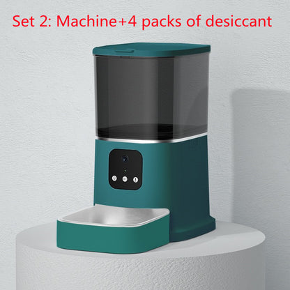 Teal pet water dispenser with black top on a white background