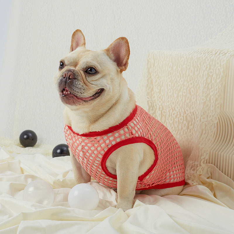 Dog wearing a red mesh outfit sitting on a white surface with black balls around